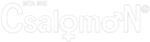 cropped logo cs 300x83